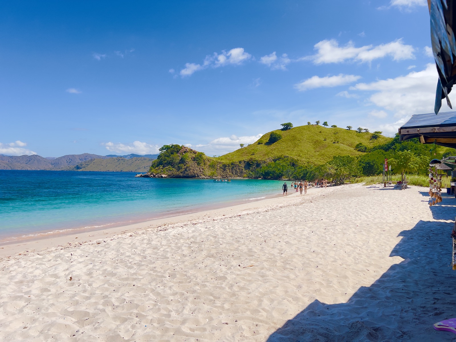 Pink Beach on Komodo Island, a stretch of pink sand with clear blue sea and green hills behind